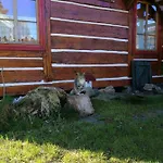 Feriehus Wczasowisko Międzywodzie