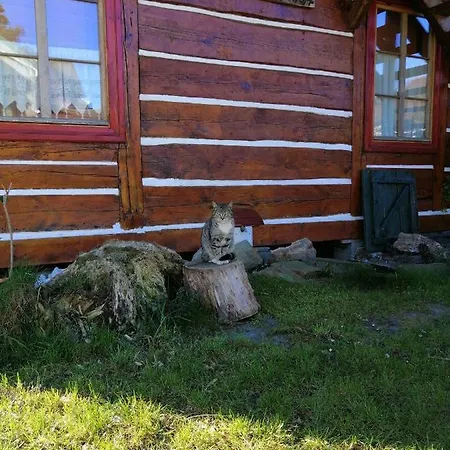 Hébergement de vacances Wczasowisko Międzywodzie