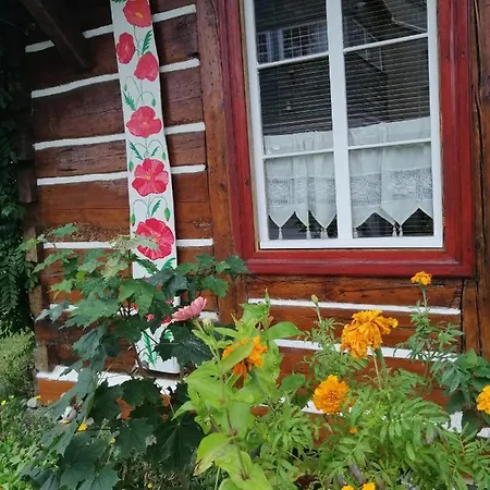 Wczasowisko Hébergement de vacances