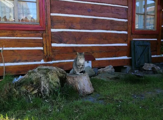 بيت للعطل Wczasowisko مينزفوجة